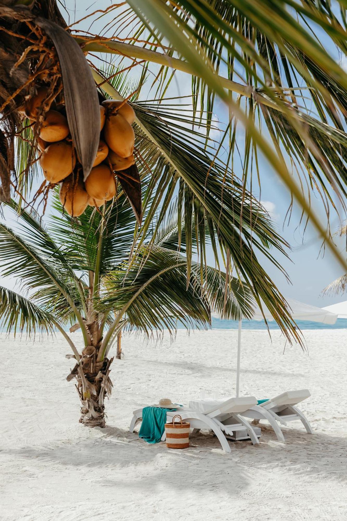 Lux* Marijani Zanzibar Hotell Pwani Mchangani Eksteriør bilde